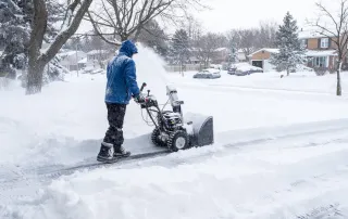 snow4.webp